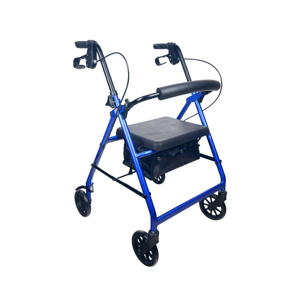Territory Walker Manual Walker Active Mobility
