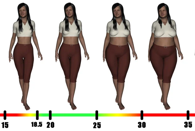 BMI-chart-woman-view.jpg