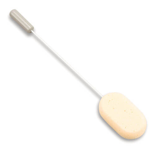 Long-Handled Sponge