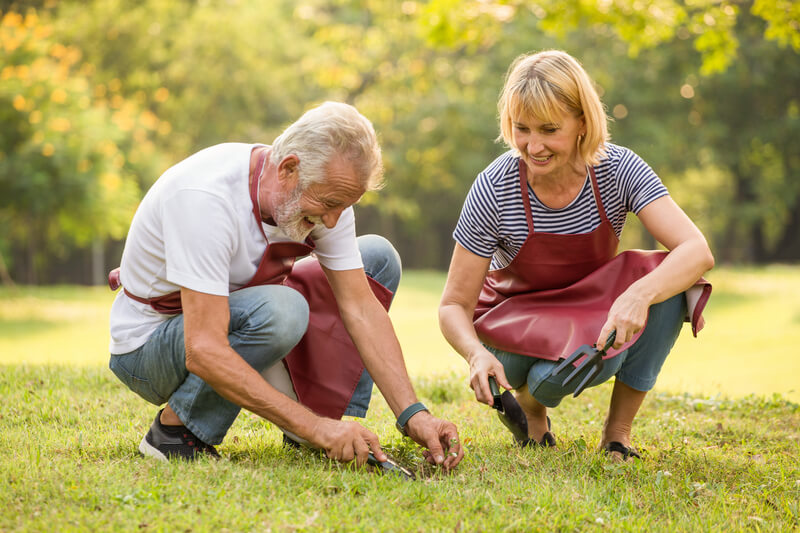 People gardening together