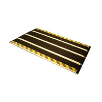 Senior Portable Ramp