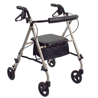 Ultra Lightweight Walker