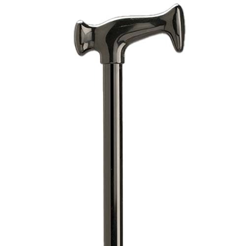Walking Stick with Plastic Handle