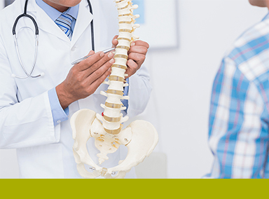 5 Myths About Spinal Cord Injuries main image